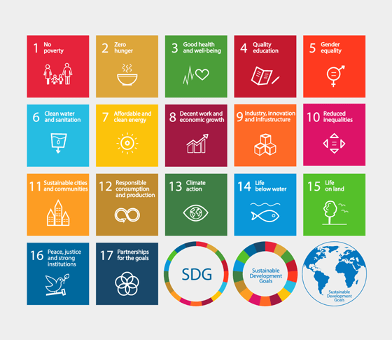 Graphic highlighting the 17 Sustainable Development Goals