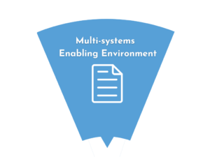 MultiSystemsEnablingEnvironment